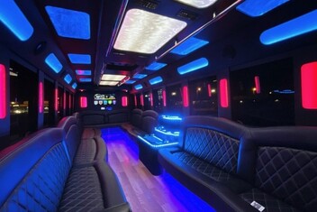 Vista Limousine Bus Interior